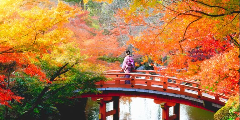 Киото настолько красив, что даже вылизанная фотография из путеводителя вполне соответствует действительности