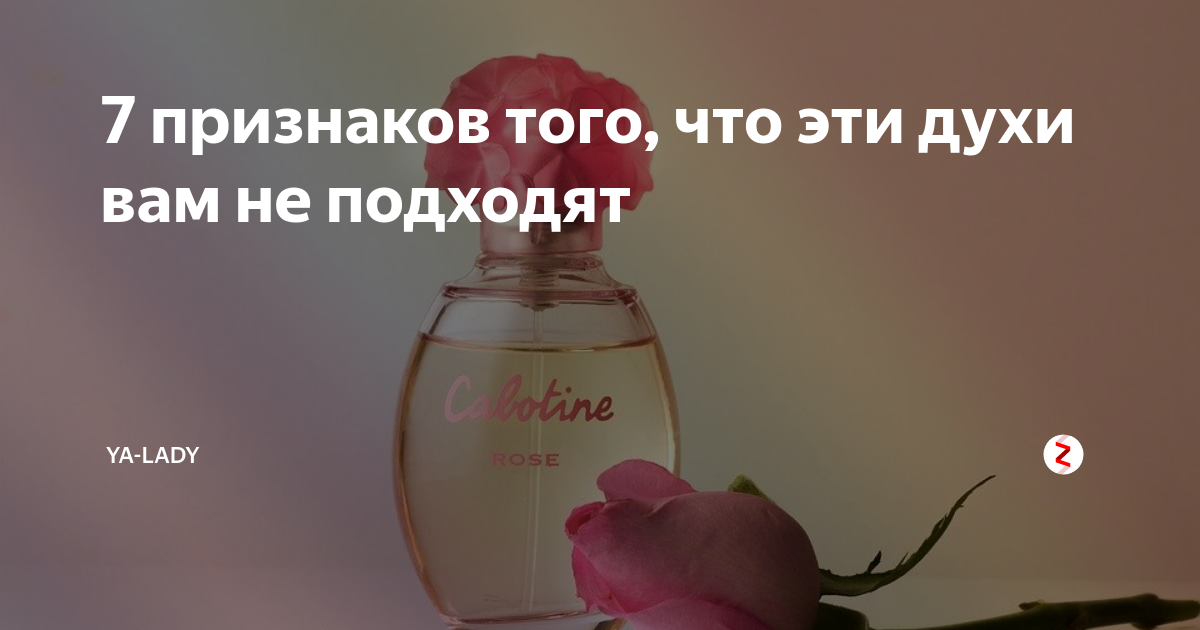 Как проверить духа. Как проверить парфюм на оригинальность. проверка духов на подлинность. как проверить подлинность парфюма. как проверить подлинность парфюма по батч коду.