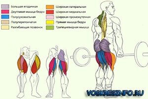 Упражнение, которое принесет результаты