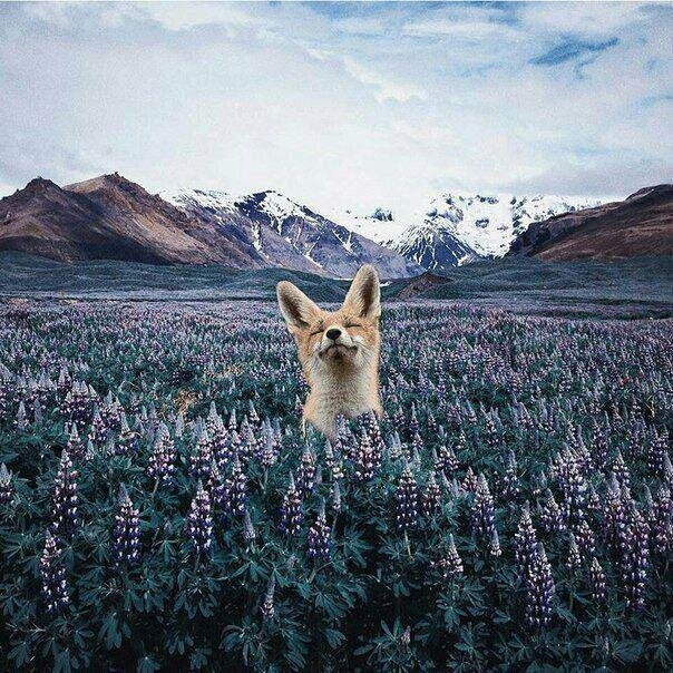 Да уж, Жизнь - непредсказуемая штука. Может показаться, что она специально издевается над нами, то и дело воплощая в реальность самые худшие ожидания. А о мечтах остаётся только мечтать. Почему именно так? Ведь я хороший человек, и цель у меня правильная, ради семьи, близких и конечно себя любимого - так зачем мне все эти "палки в колёса"  и "проверки судьбы" ? - Ведь я достоин лучшего. 