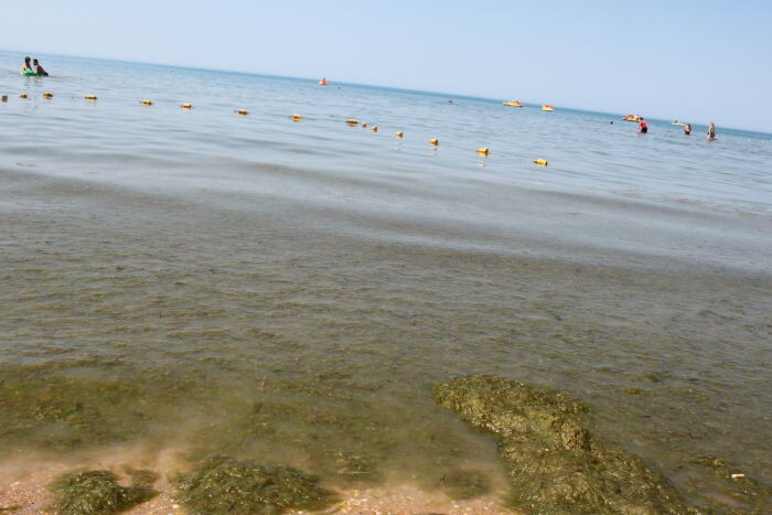 http://lmg.azur.ru