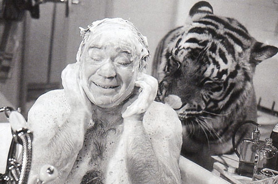 Яндекс картинки