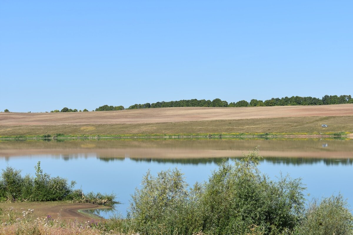 Берег Апастовской плотины