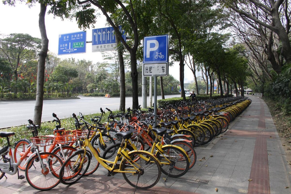 Велосипеды ofo и mobike