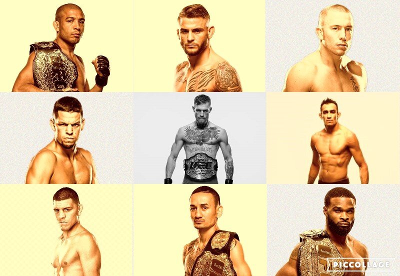 Данный список озвучил Конор Макгрегор после пресс конференции UFC 229. Список бойцов окончательно не утвержден, однако Дана Уайт заинтересован в проведении каждого поединка, особенно реванш с Жозе Алду, который смог реабилитироваться после трех поражений от Конора и Холлоуэя.