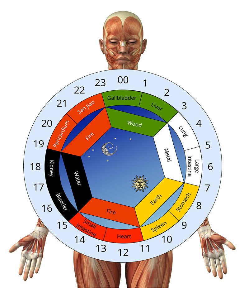 Как биологические часы влияют на олимпийские рекорды