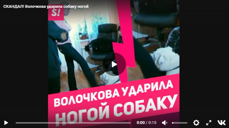 Скриншот видео: http://rex24.ru/news/post-2921
