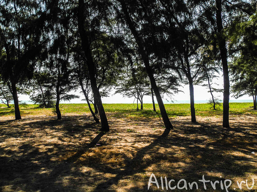 Вид на пляж от остановки сонгтео