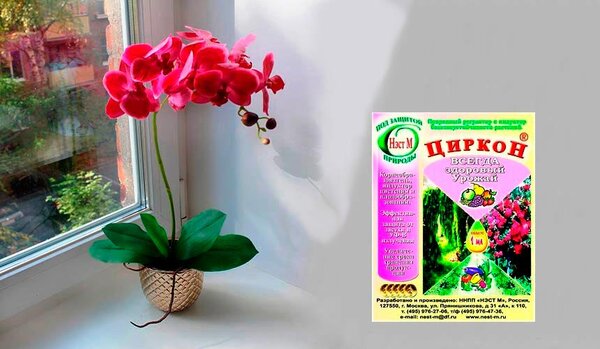 Как и зачем применяют Циркон для орхидей