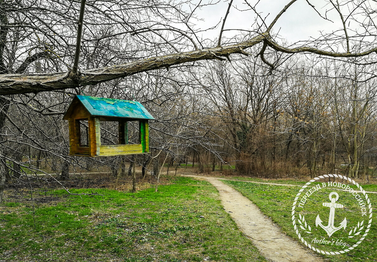 Пионерская роща в Новороссийске