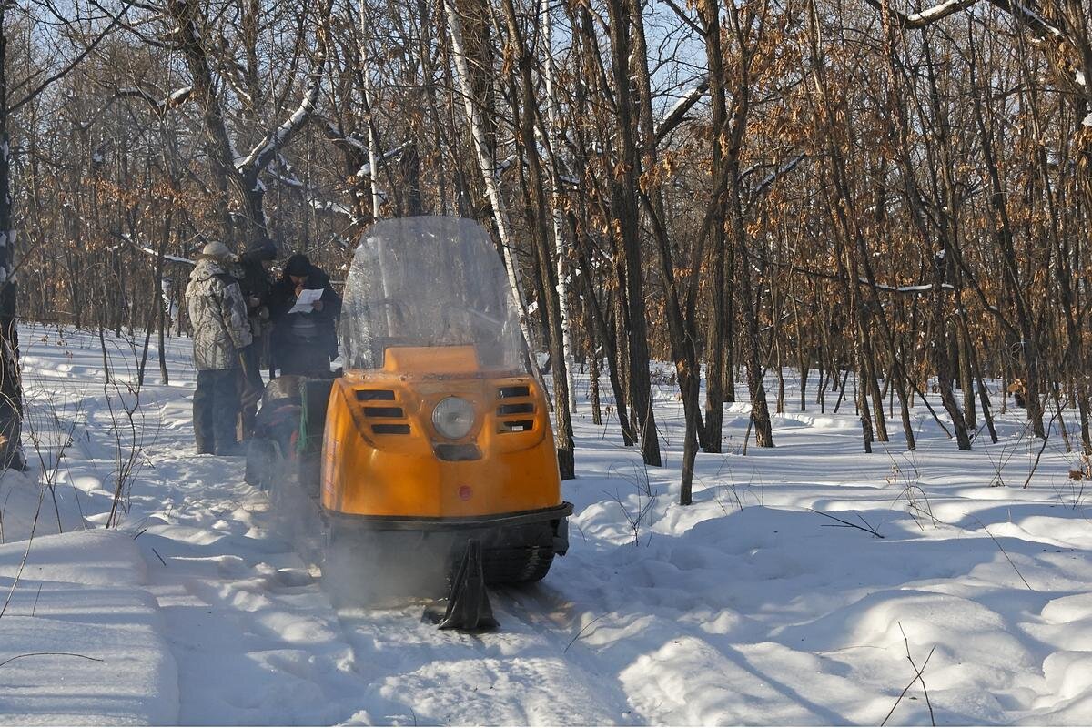 АВТОР СТАТЬИ: ВЯЧЕСЛАВ КАСТРИКИН