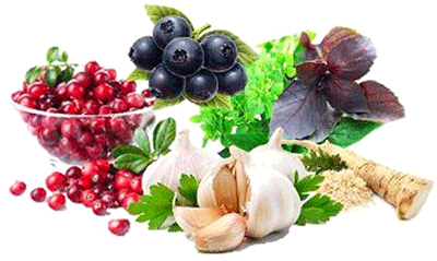 При трахеитах, бронхитах, затяжном кашле: смешать 1ст. л. тертого хрена с 3 ст.л. меда и дать настояться. Ежедневно съедать по 1ч.л. 5 раз в день, масса должна растворяться во рту.