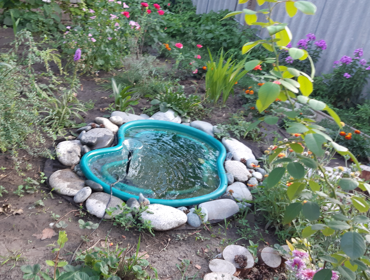 Пруд. Фото автора.