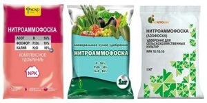 При выращивании томатов нитроаммофоска помогает укрепиться побегам, способствует ускорению роста куста и сокращает период вызревания плодов. Как правило, данной культуре необходимо 4-разовое внесение этого удобрения в течение сезона. Первый раз нитроаммофоску применяют весной, через несколько недель после пересадки растений в открытый грунт. Для этого сперва готовят раствор (столовая ложка на ведро воды) и затем поливают им растения (0,5 литра на каждый кустик). Во второй раз подкормку проводят через месяц. Здесь также сперва следует приготовить раствор в указанной выше пропорции. Однако к удобрению добавляют еще один компонент – коровяк (0,5 килограмма на ведро воды). Одному растению требуется примерно 600 миллилитров такого раствора. Следующая подкормка проводится, когда начинает распускаться 3-я кисть растений. Для этого также готовят специальный раствор – по 1 столовой ложке нитроаммофоски и гумата натрия на ведро воды. Одному растению требуется литр такого средства. Четвертая подкормка проводится через 2 недели после третьей. Здесь можно воспользоваться таким же раствором, как и в предыдущий раз. Только норма для одного растения увеличивается до 1,5 литра.