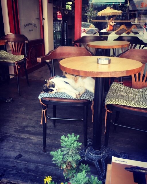 Добро пожаловать в квартал Мода!