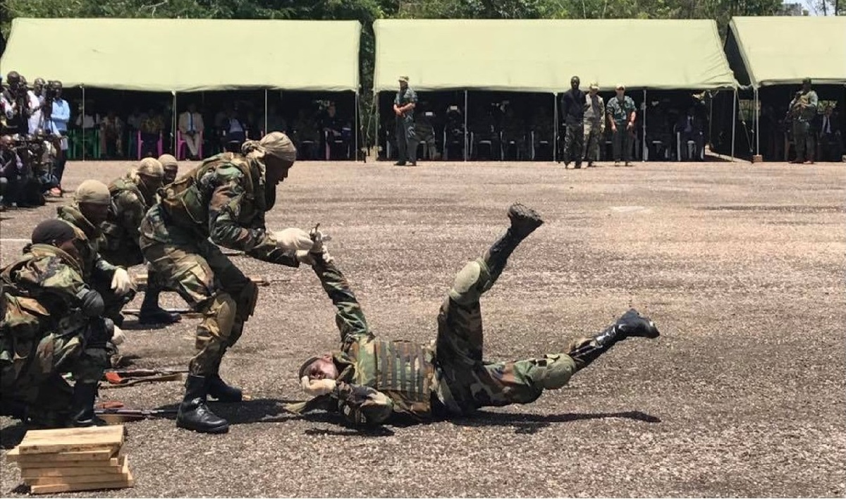 Обучение в ЦАР