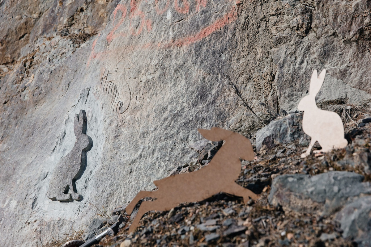 Фото с официального сайта проекта: iloverabbit.ru