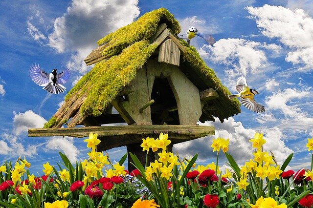 Оригинальная кормушка. Или домик маленького тролля? Изображение Gerhard Gellinger с сайта Pixabay.