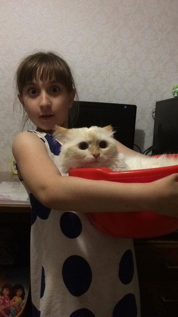 Котик Пушонька