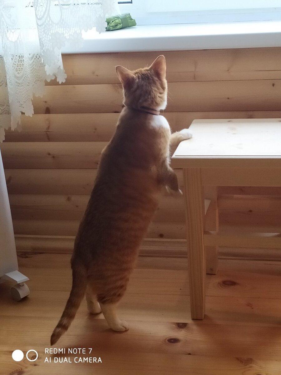  А что это у вас там происходит?