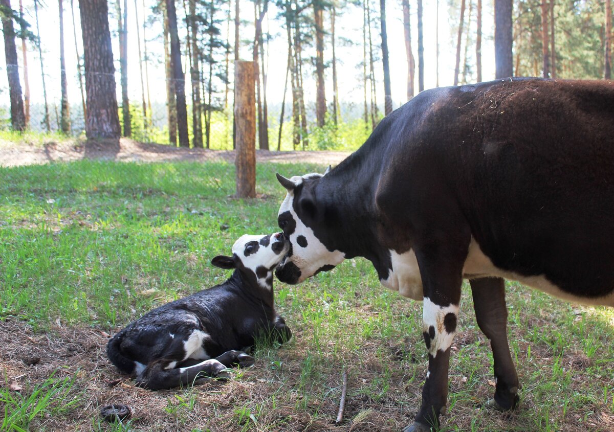 Любава и маленькая Маечка.