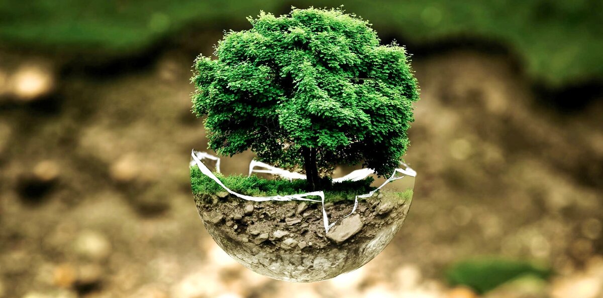 Изображение с сайта https://pixabay.com