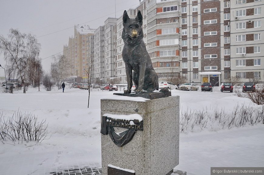 Памятник верности тольятти история с фото