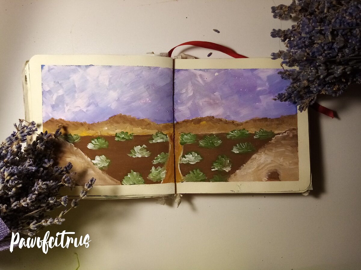 Я до сих пор думаю, что здесь лаванда уместна