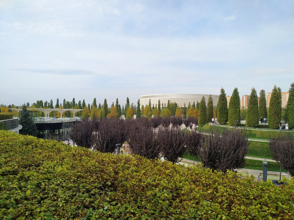 Осенний Краснодар очень хорошо описывает сегодняшнее настроение. Фото автора.