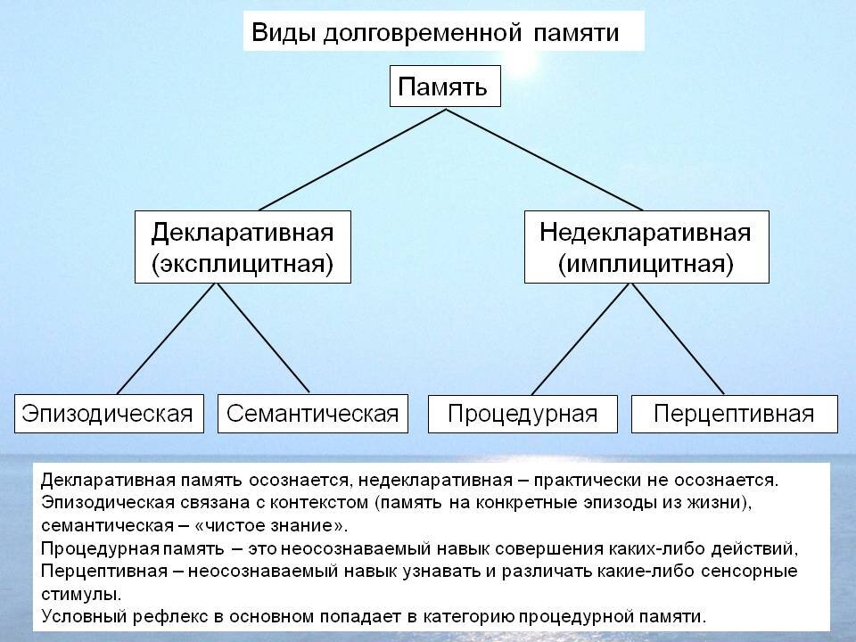 Картинка из открытых источников 