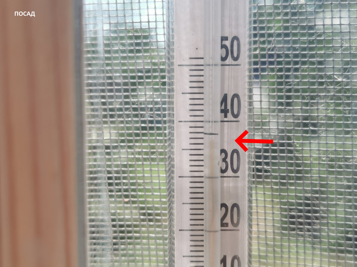 За окном +36 градусов.