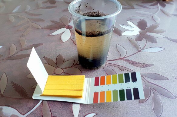 Даю отстояться жидкости не менее 15 минут. Иначе определение среды может быть неверным.