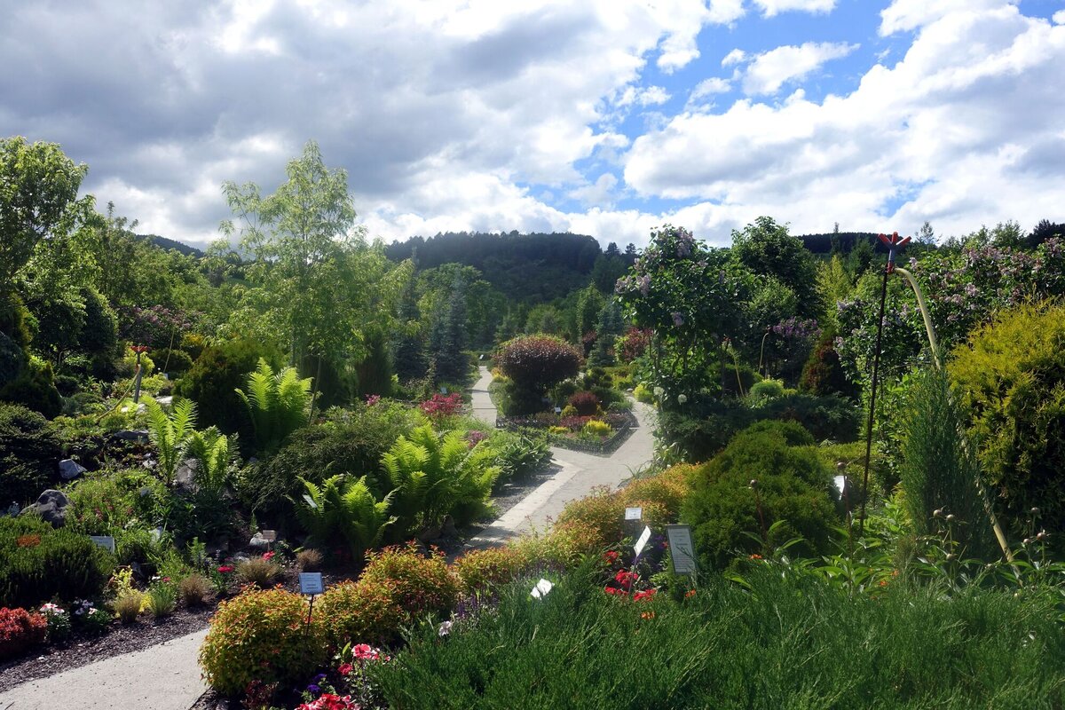 Дендрарий – удивительное по своей энергетике место, где пребываешь в гармонии с окружающим миром