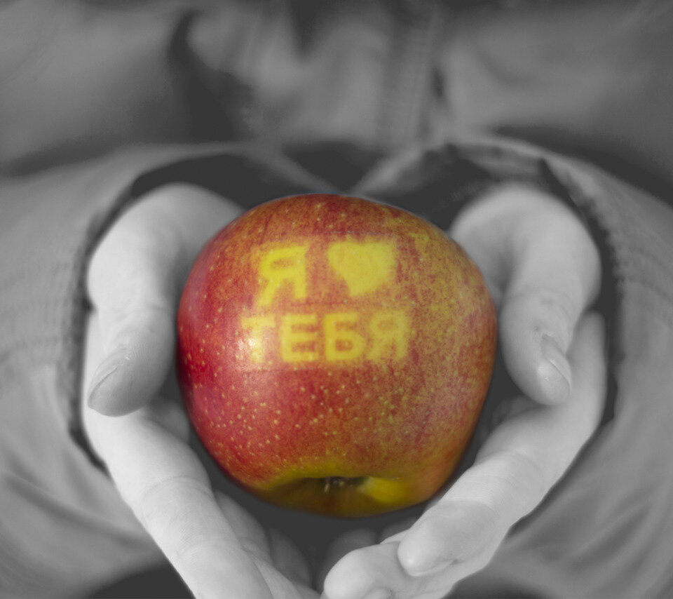 Картинка из открытых источников.