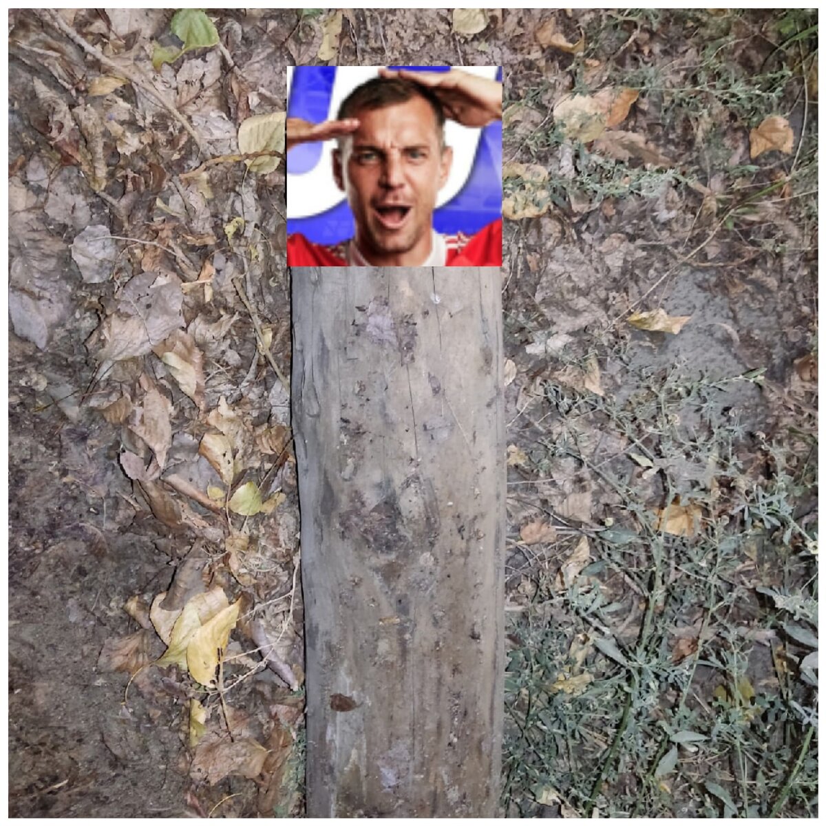 Оно самое!