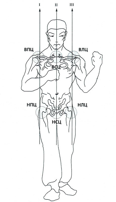 № 1. Модель тела бойца с обозначением наиболее часто используемых центров вращения.