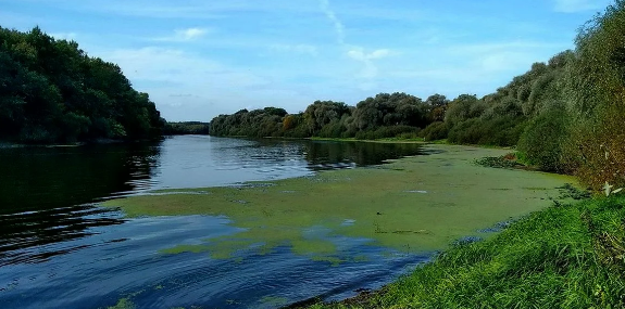 Добавьте описание