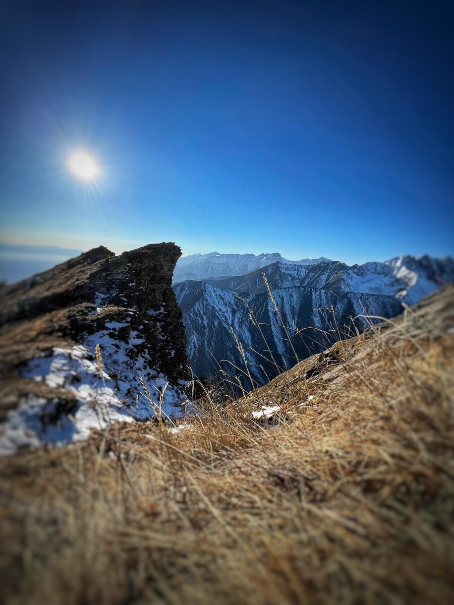 Фото Алёны Лосевой