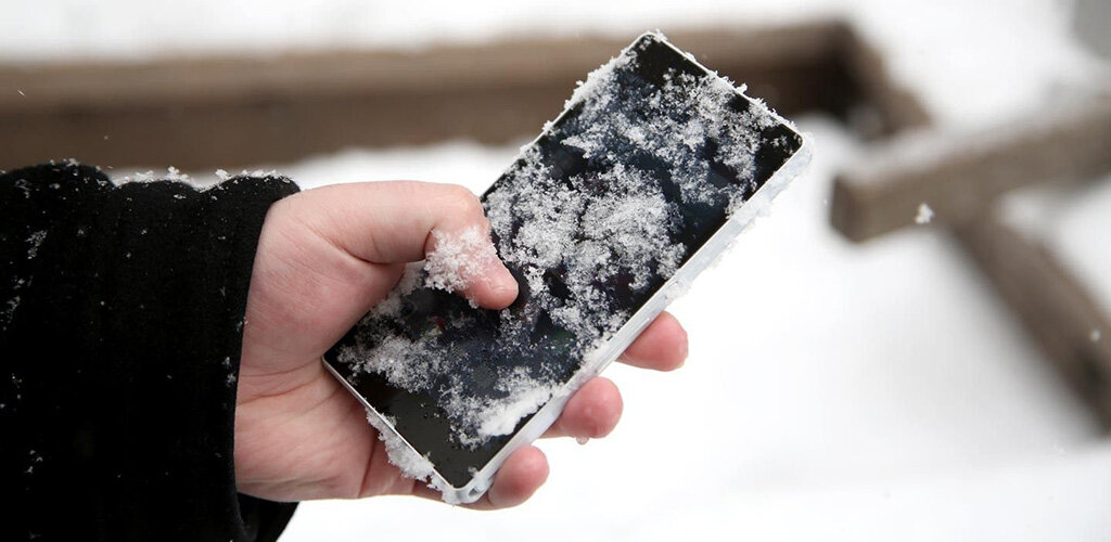 Изображение из открытого доступа