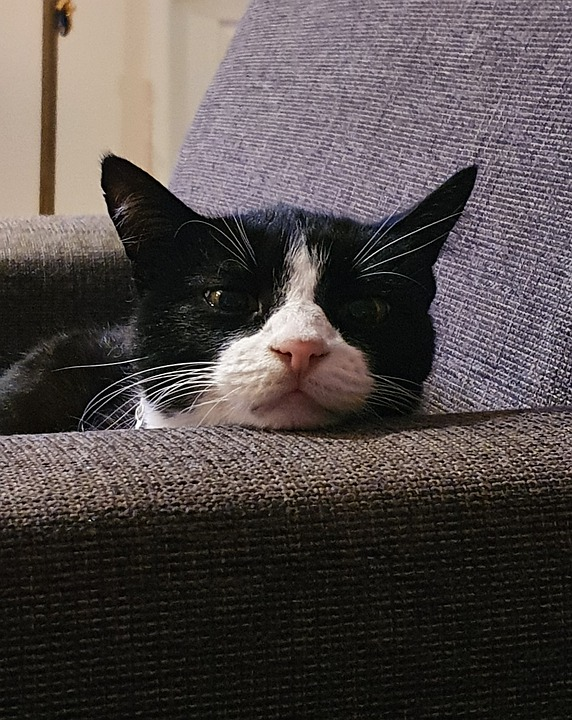 просто картинка