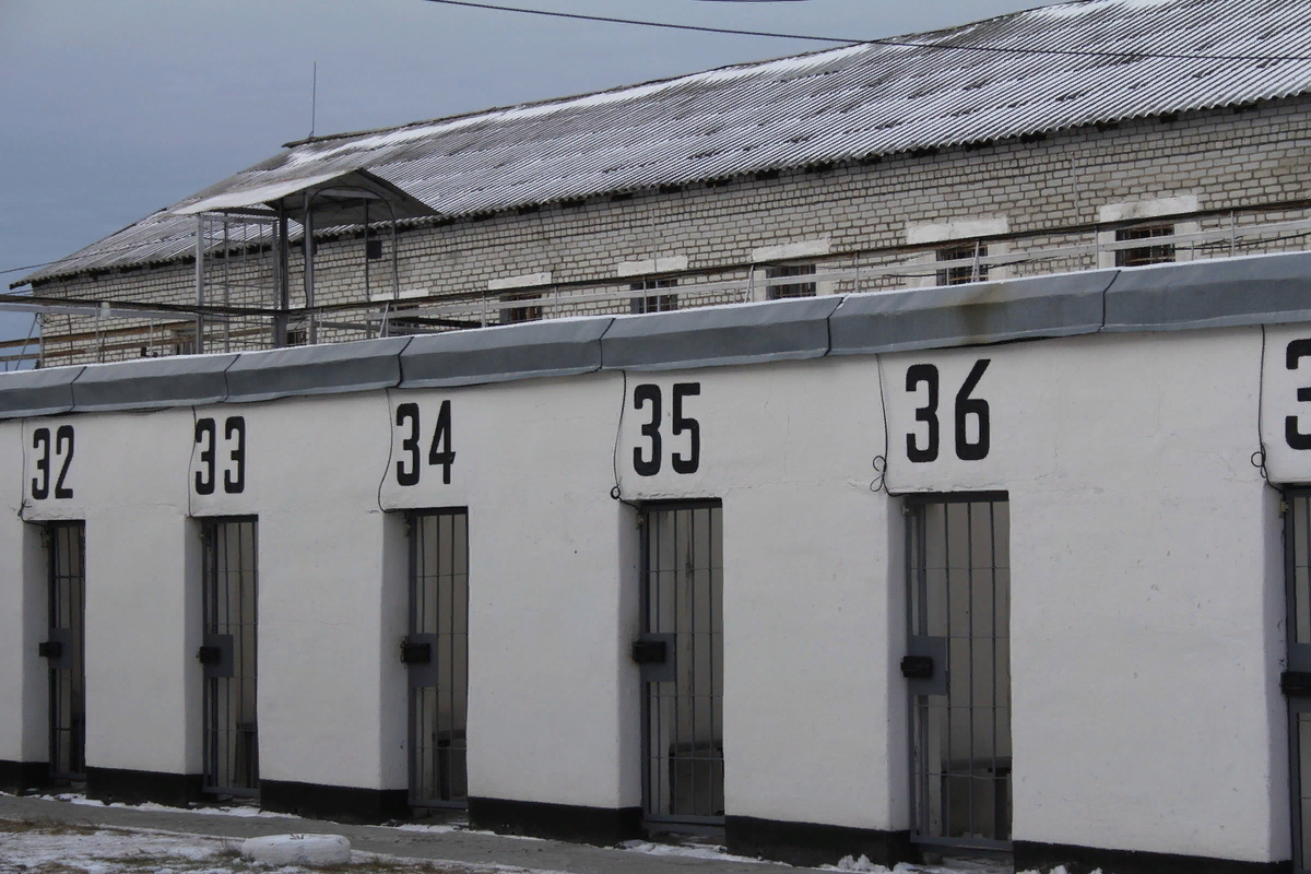 Сосновка. Ик-14 республика мордовия. Ик 1 мордовия сосновка. Фку 1 мордовия. С.