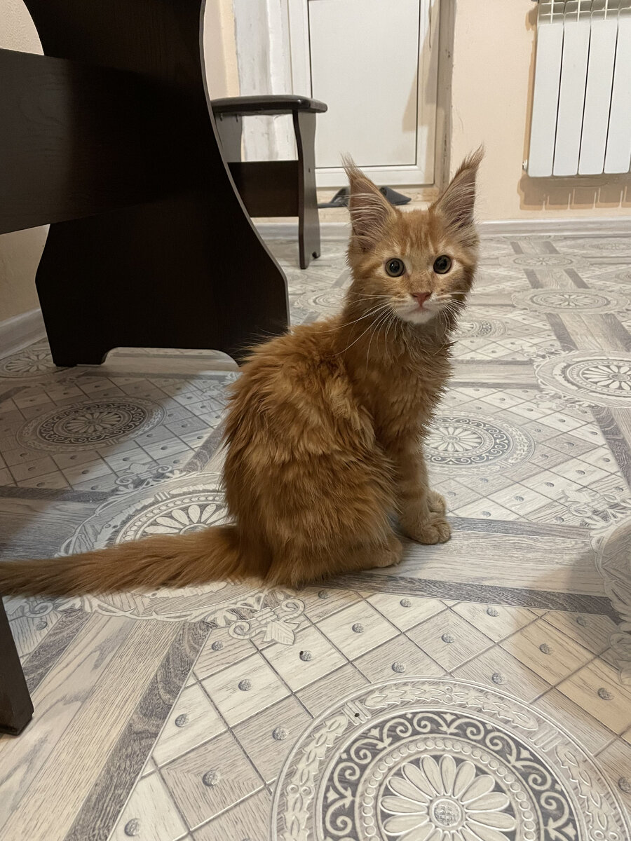 Личный архив