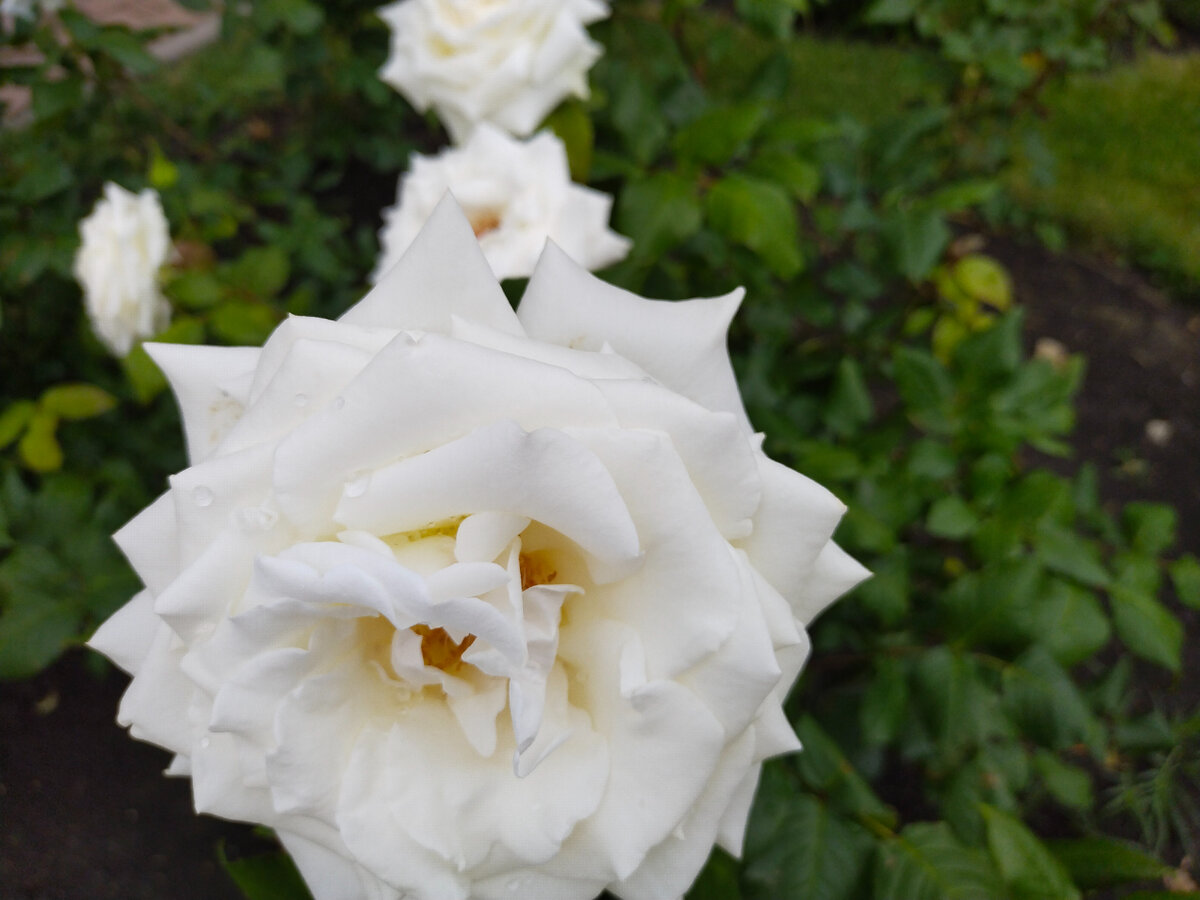 Фото автора канала