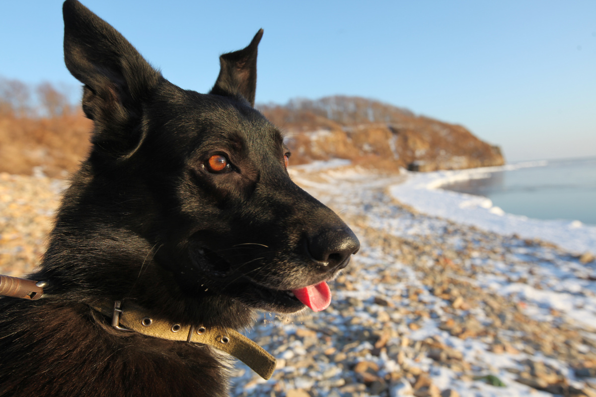  Тот же пляж и тот же Рон, пять лет спустя)