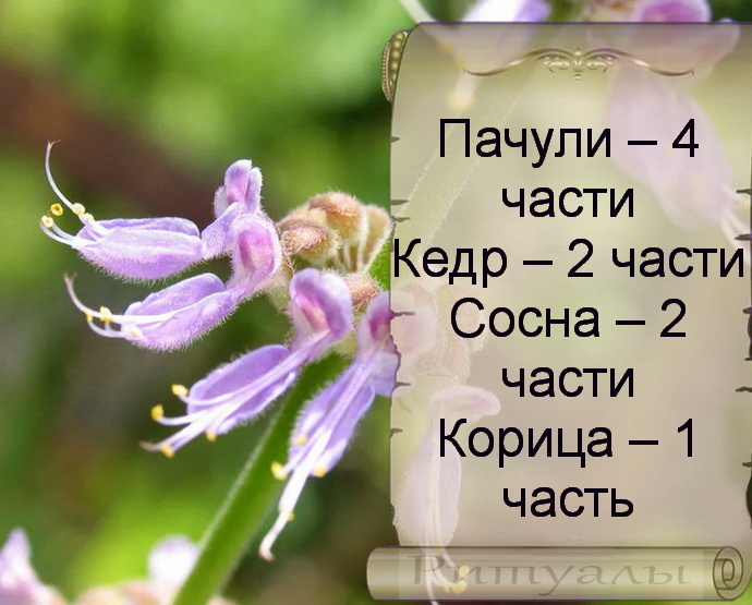 Цветки пачули