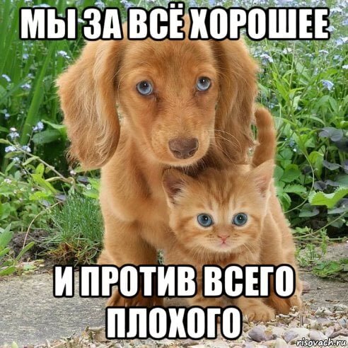 И никак иначе. 
