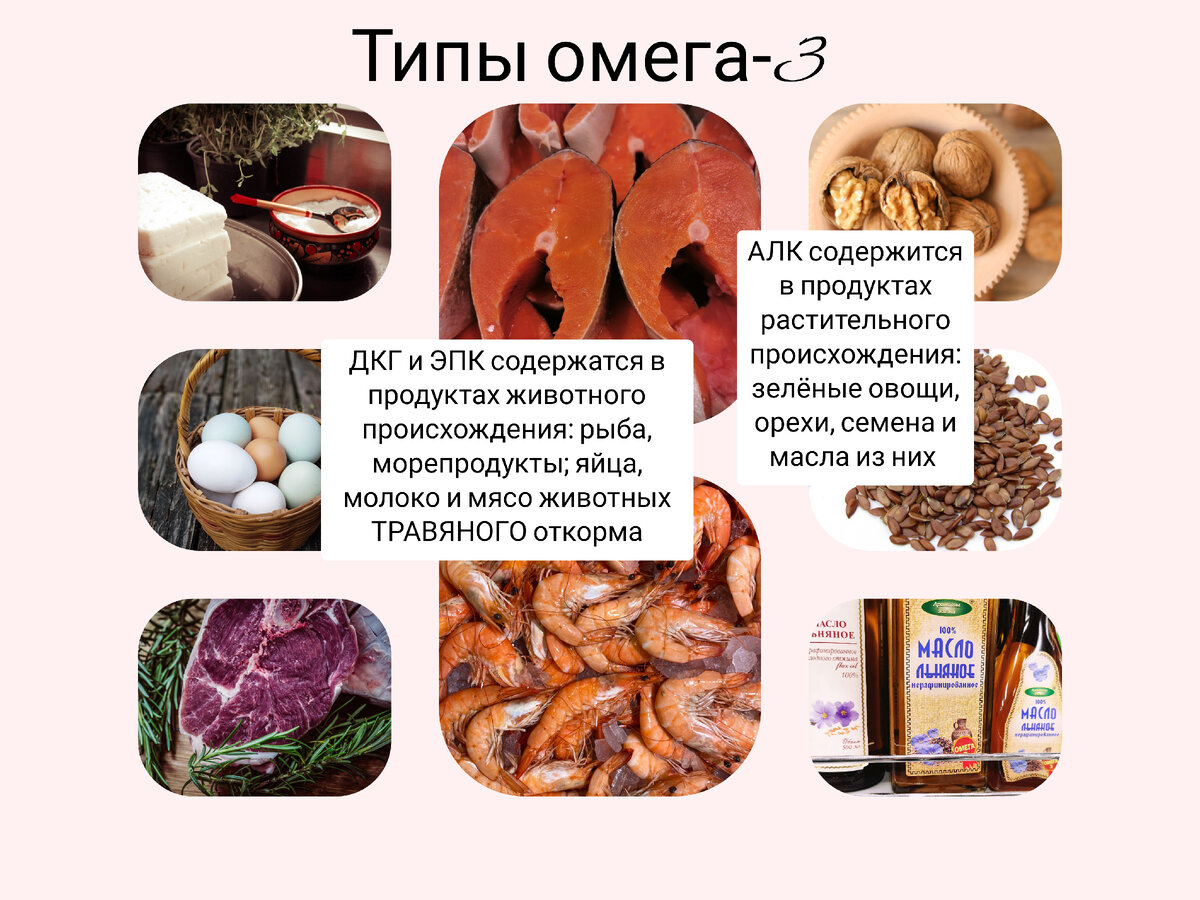 Научно установлено: ешьте сайру! - CMT Научный подход