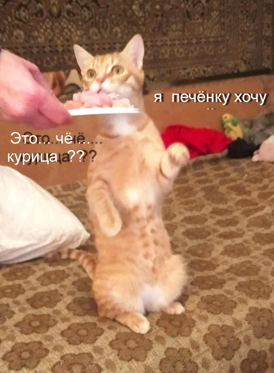 Личное  фото.    


