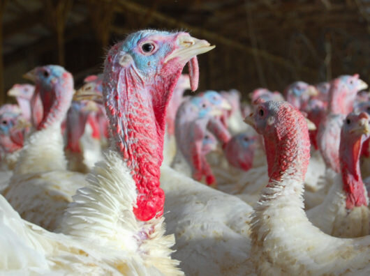    //Фото с сайта fb.ru