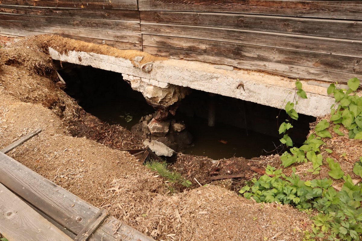 Фото : Народный фронт Кировская область